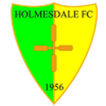 Holmesdale logo