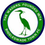 Biggleswade Town logo