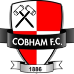 Cobham logo