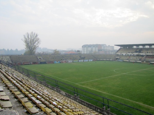 Ecolog Arena Image