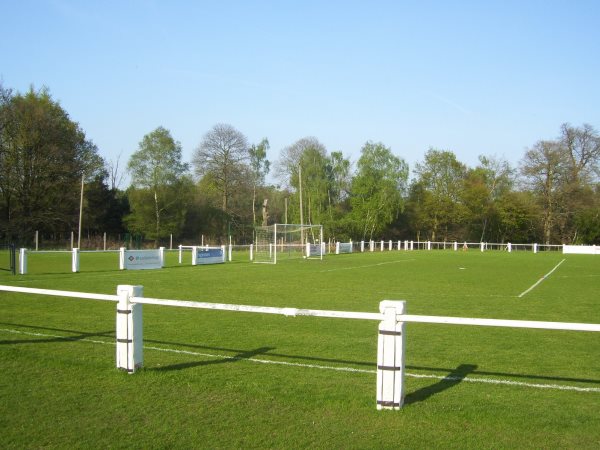 Ascot Racecourse Image